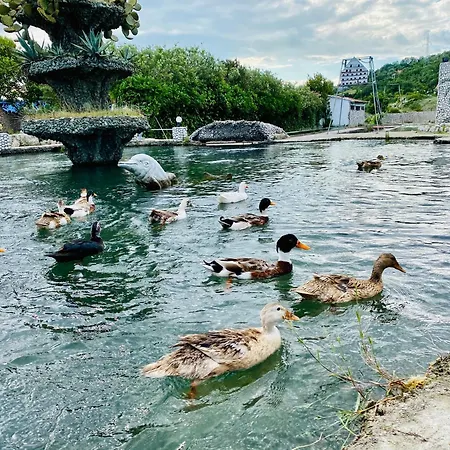 Hotel Kompleksi Turistik Dea