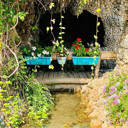 Hotel Kompleksi Turistik Dea *