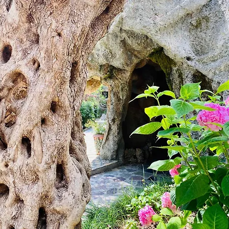 Kompleksi Turistik Dea