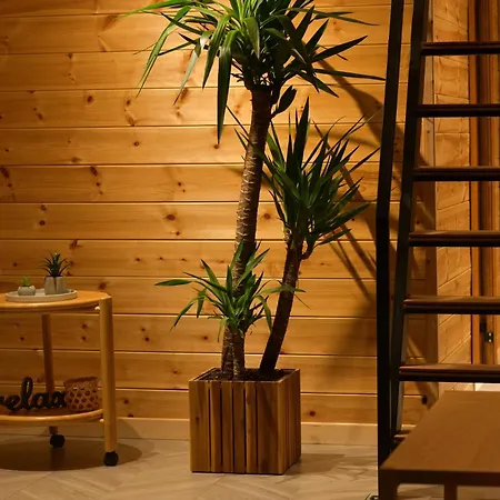 Kompleksi Turistik Dea